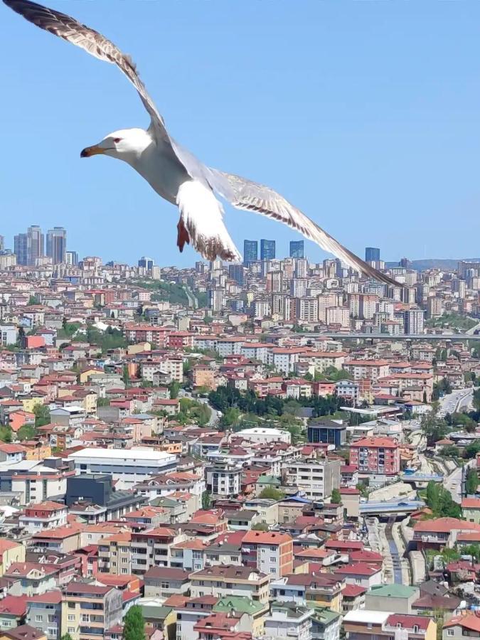 Magneficent Luxury Residence With Pool And Fitnes Istanbul Bagian luar foto